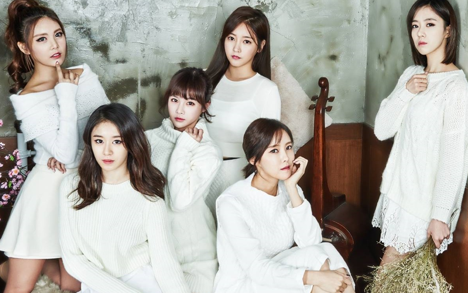 【综艺】Daily T-ara 每日T-ara（2013）